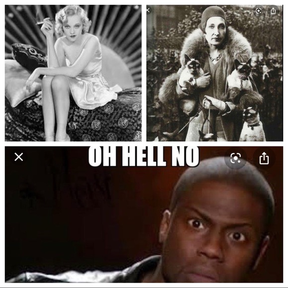 Meet your Posher, Calliope - Picture 2 of 8